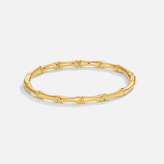 Ara Golden Bamboo Bangle - My StoreBracelet
