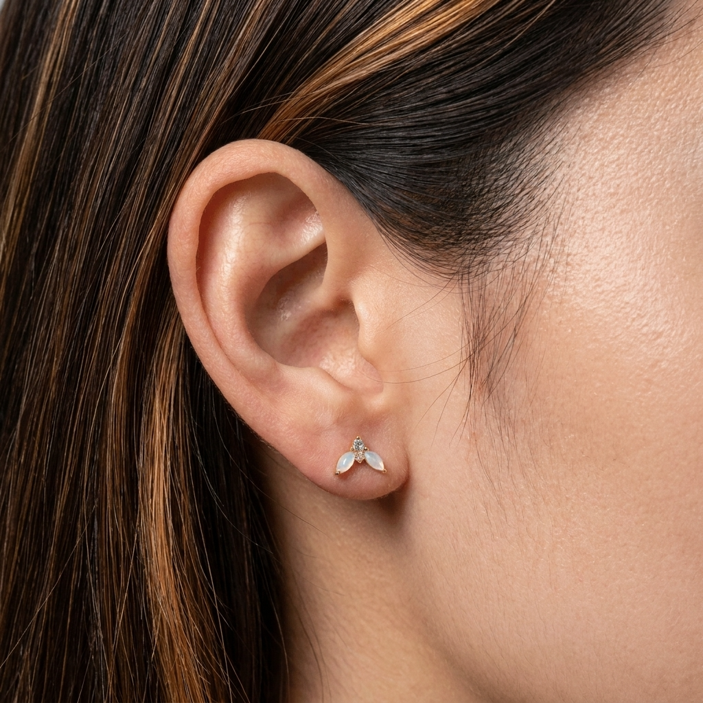 download_1_af261b82-f078-485c-9f31-a93b06f838bc.png