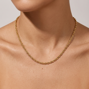 Sylvi Twist Necklace