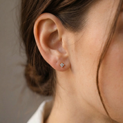 Noa Crystal Stud Earrings
