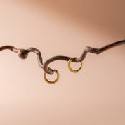 Noa Hoop Earrings - Earrings - Gold - 4