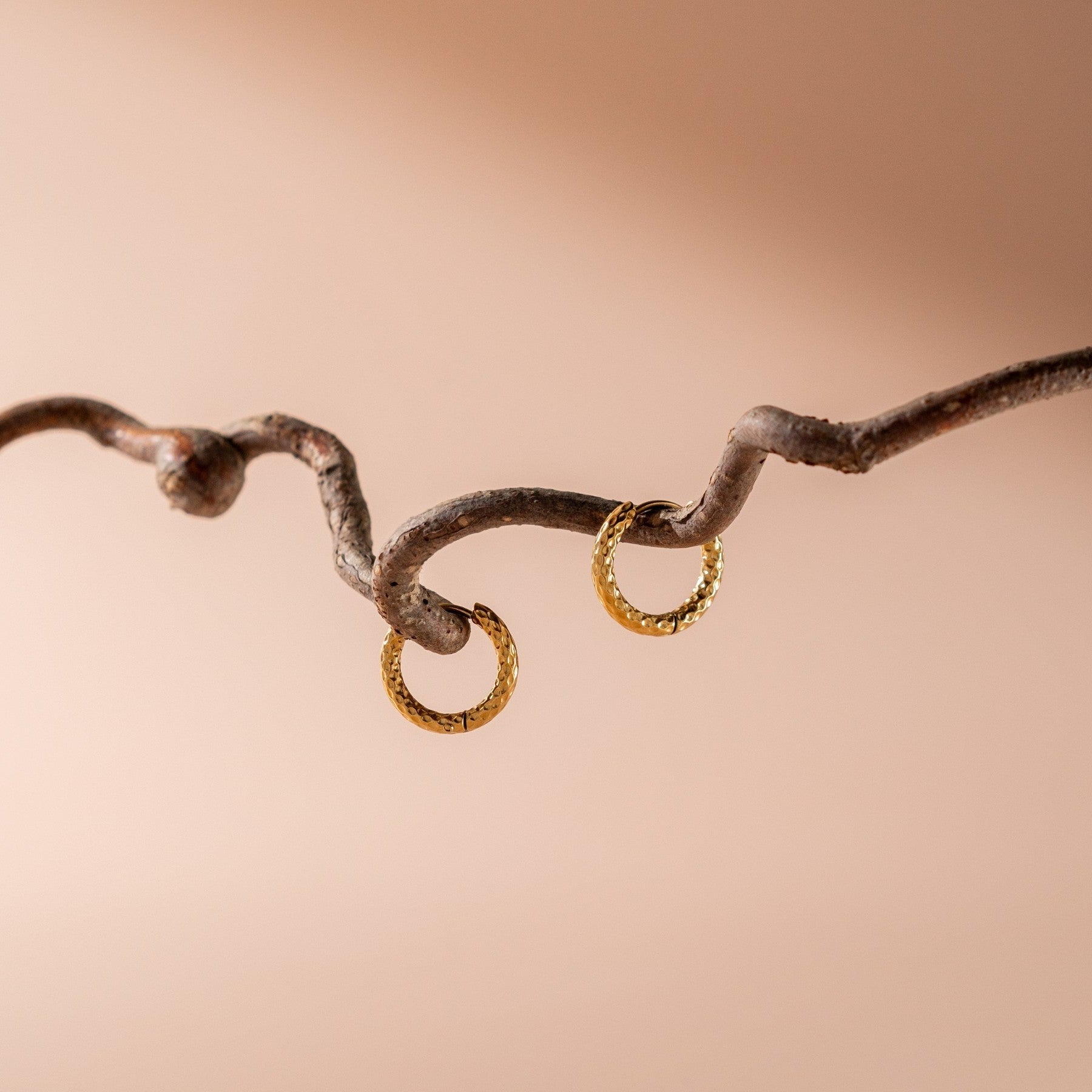 Noa Hoop Earrings - Earrings - Gold - 4