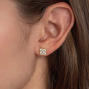 Teya Crystal Earrings - 1