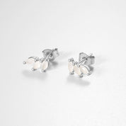 Yasmin Shine Studs - Platinum - Champagne - 8